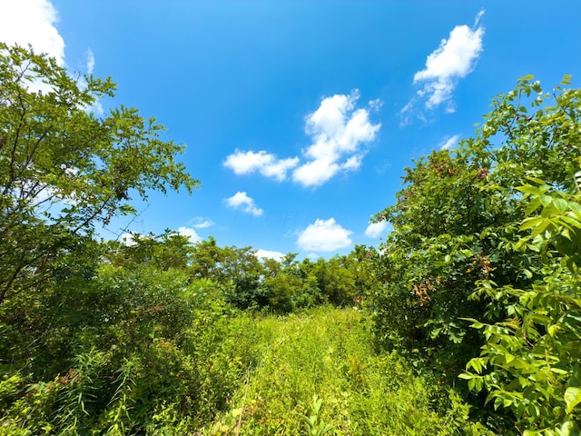 2772 Township Road 177, Willow Wood, OH 45696 - photo 22