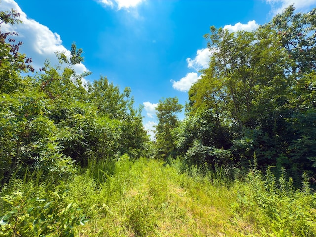 2772 Township Road 177, Willow Wood, OH 45696 - photo 24