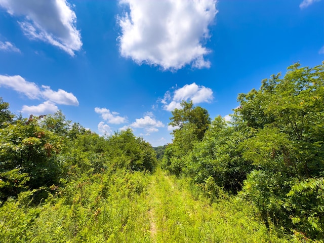 2772 Township Road 177, Willow Wood, OH 45696 - photo 25
