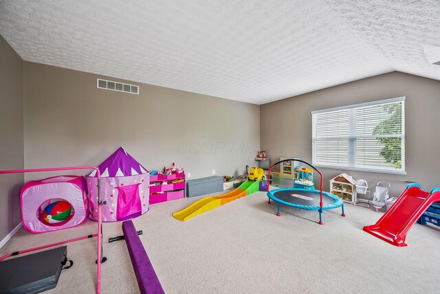 6584 Lilac Ln, Powell, OH 43065 - photo 37