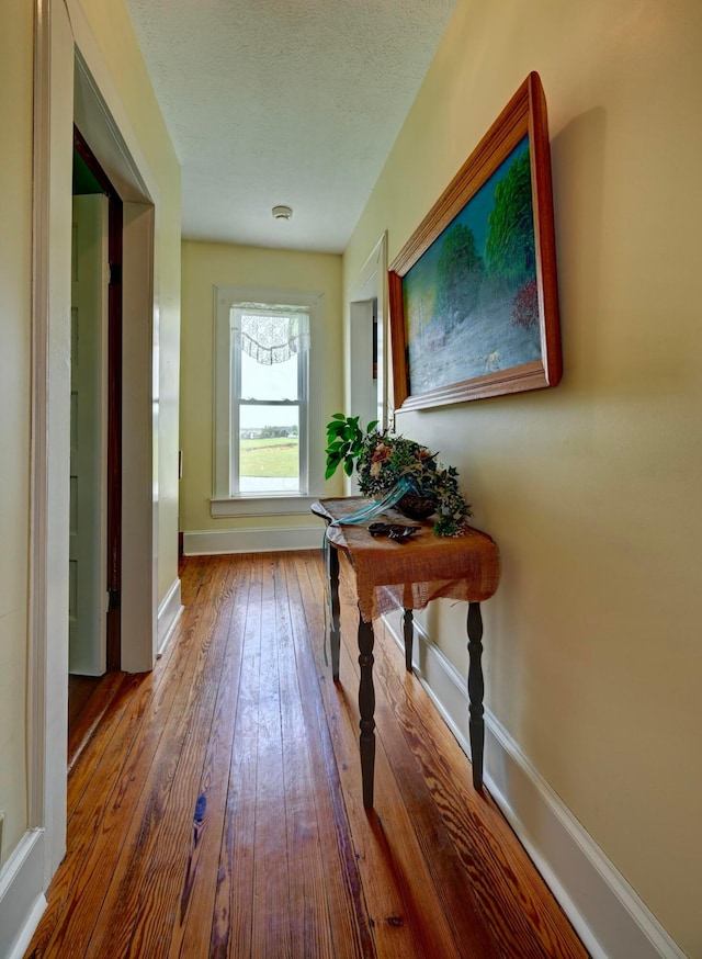 26697 Danville Amity Rd, Danville, OH 43014 - photo 24