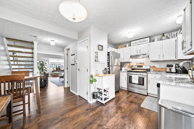 8194 Baltimore Ave Unit 6E, Westerville, OH 43081 - kitchen featuring stainless steel appliances, under cabinet range hood, a textured ceiling, dark wood-type flooring, and white cabinetry