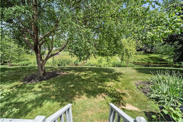 8194 Baltimore Ave Unit 6E, Westerville, OH 43081 - view of grassy yard with a water view
