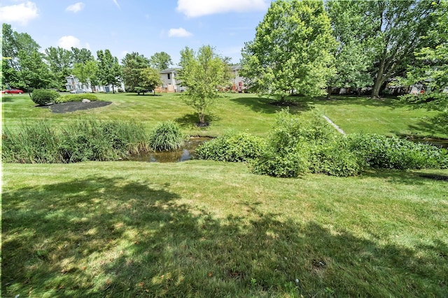 8194 Baltimore Ave Unit 6E, Westerville, OH 43081 - view of grassy yard with a water view