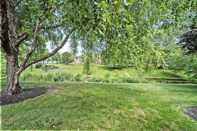 8194 Baltimore Ave Unit 6E, Westerville, OH 43081 - view of green lawn
