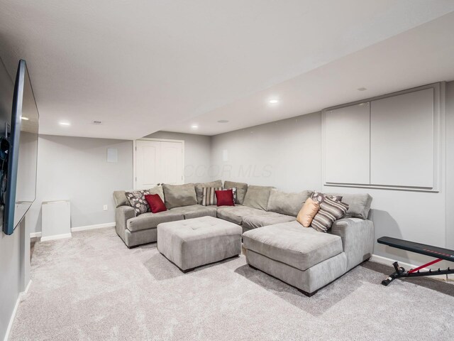 437 Braumiller Crossing Dr, Delaware, OH 43015 - photo 22