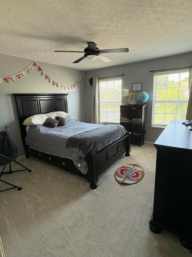 437 Braumiller Crossing Dr, Delaware, OH 43015 - photo 19