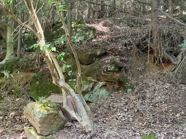 10440 Opossum Hollow Rd, Rockbridge, OH 43149 - view of nature