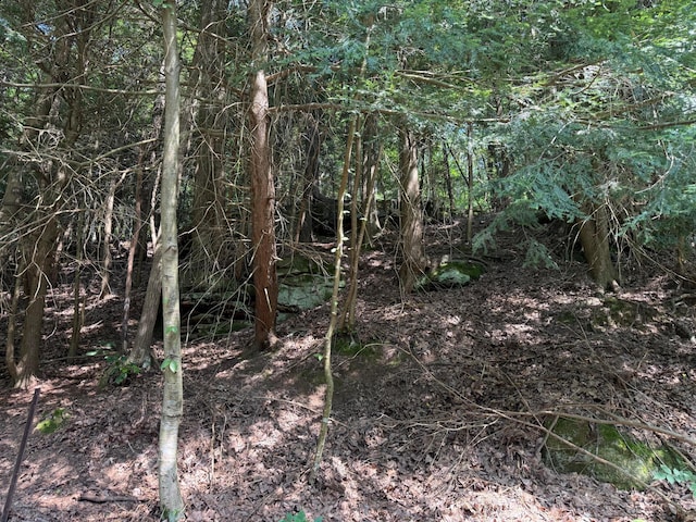 10440 Opossum Hollow Rd, Rockbridge, OH 43149 - view of nature