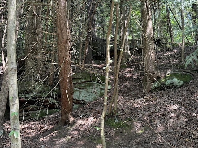 10440 Opossum Hollow Rd, Rockbridge, OH 43149 - view of local wilderness