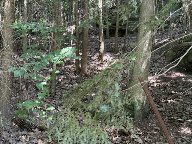 10440 Opossum Hollow Rd, Rockbridge, OH 43149 - view of nature