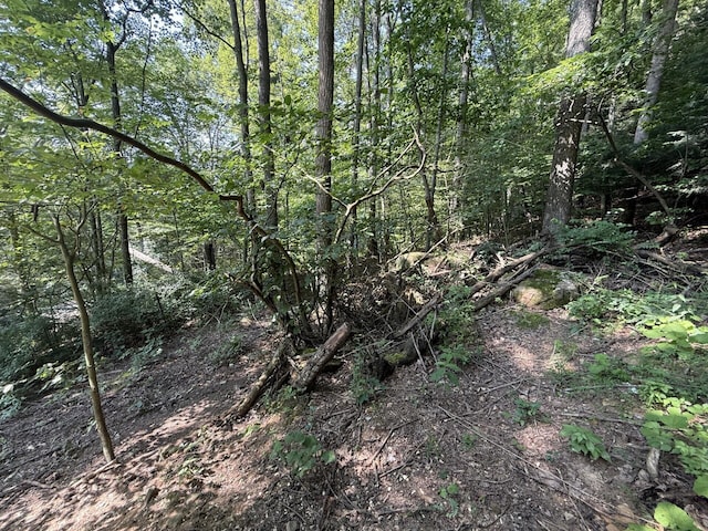 10440 Opossum Hollow Rd, Rockbridge, OH 43149 - view of woods