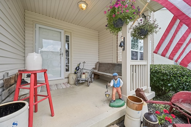 161 Chestnut Estates Dr, Commercial Point, OH 43116 - photo 17