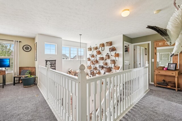 161 Chestnut Estates Dr, Commercial Point, OH 43116 - photo 48