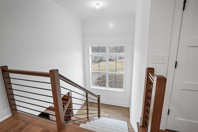 11328 Gold Finch Dr, Plain City, OH 43064 - photo 59