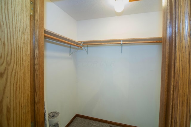 7740 Gale Rd SW, Hebron, OH 43025 - spacious closet with carpet flooring