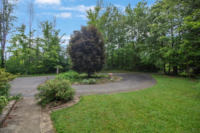 7740 Gale Rd SW, Hebron, OH 43025 - view of green lawn with driveway