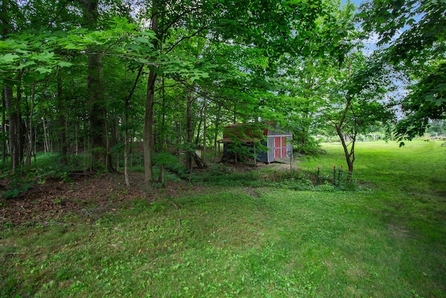 7740 Gale Rd SW, Hebron, OH 43025 - view of green lawn featuring a shed