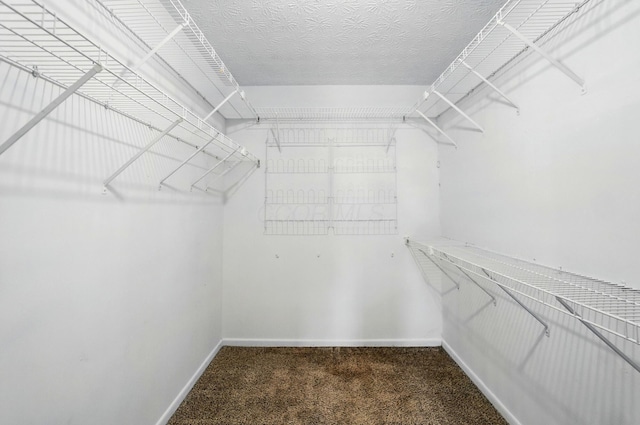 2605 Bella Via Ave, Columbus, OH 43231 - spacious closet with carpet
