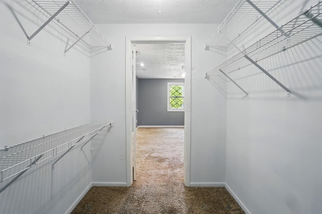 2605 Bella Via Ave, Columbus, OH 43231 - spacious closet featuring carpet flooring