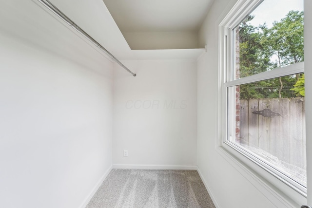527 N Columbia Ave, Bexley, OH 43209 - spacious closet with carpet floors