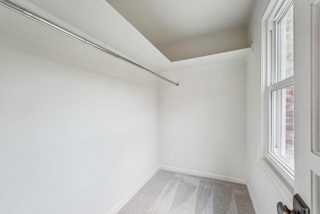 527 N Columbia Ave, Bexley, OH 43209 - walk in closet featuring carpet floors