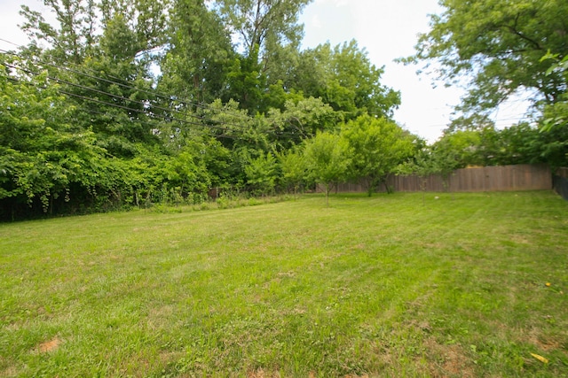 1810 Lehner Rd, Columbus, OH 43224 - view of yard