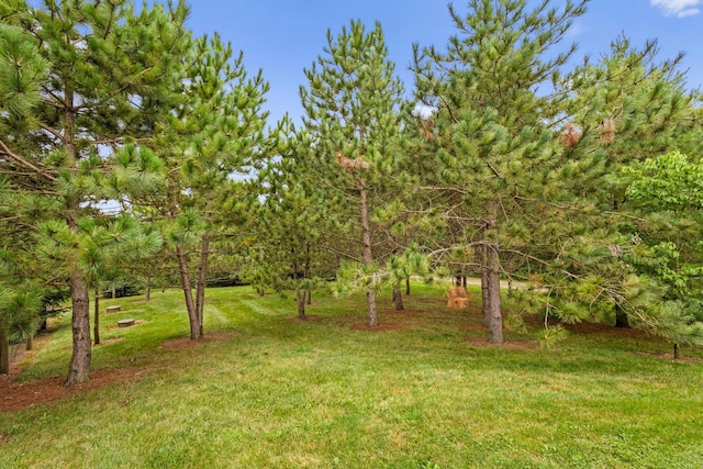 14926 Olive Green Rd, Centerburg, OH 43011 - photo 44