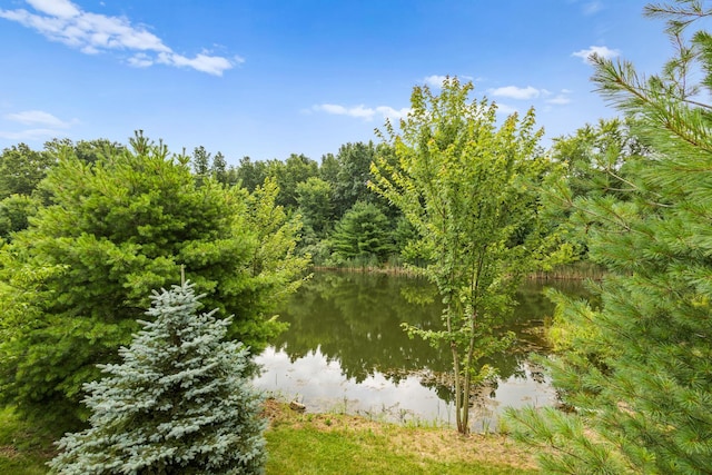 14926 Olive Green Rd, Centerburg, OH 43011 - photo 7