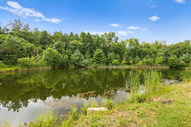 14926 Olive Green Rd, Centerburg, OH 43011 - photo 6