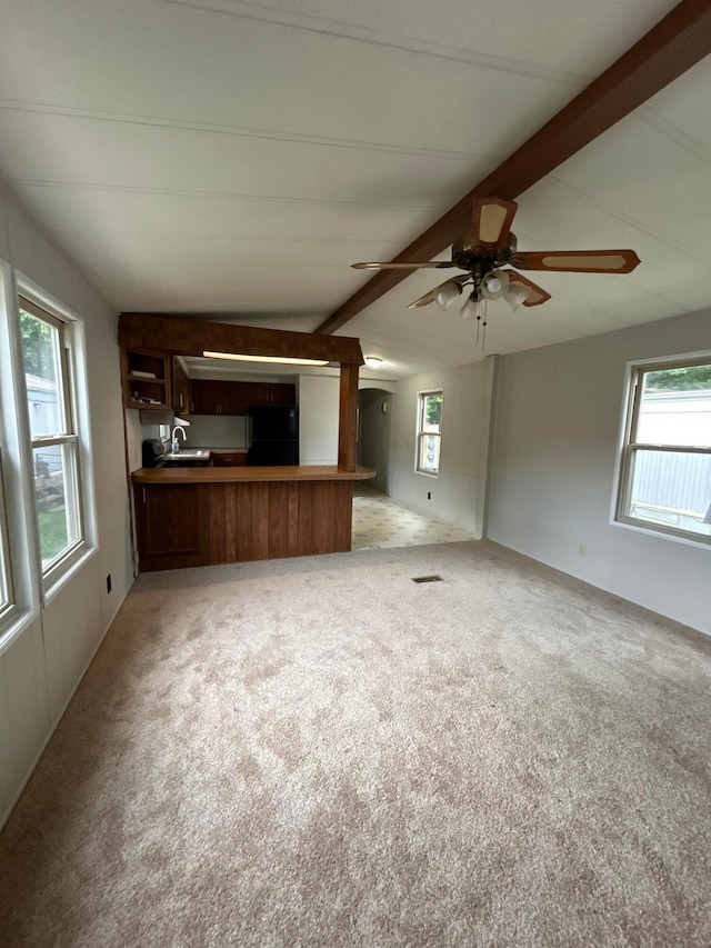 110 E Hickory Grove Rd Unit 45, Urbana, OH 43078 - unfurnished living room with healthy amount of natural light, light carpet, and ceiling fan