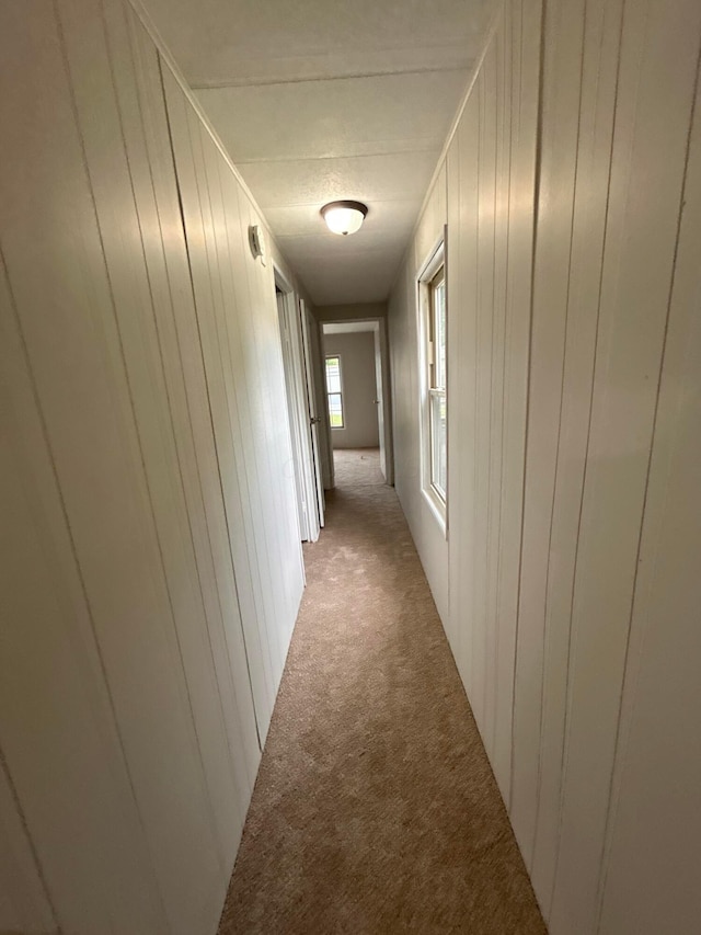 110 E Hickory Grove Rd Unit 45, Urbana, OH 43078 - hall featuring light colored carpet and wooden walls
