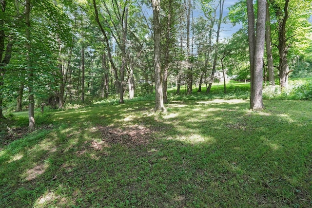 2939 Sharon Valley Rd NE, Newark, OH 43055 - photo 31