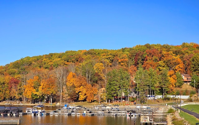 82 Lodge Ln, Hide A Way Hills, OH 43107 - water view with a heavily wooded area