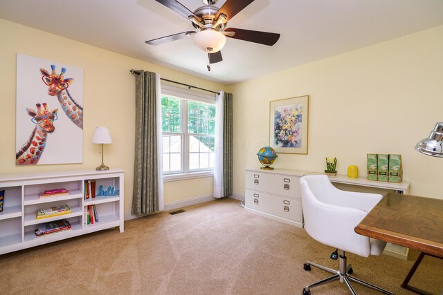 10260 Carmel Dr, Plain City, OH 43064 - photo 42