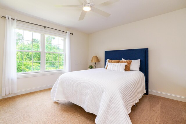 10260 Carmel Dr, Plain City, OH 43064 - photo 49