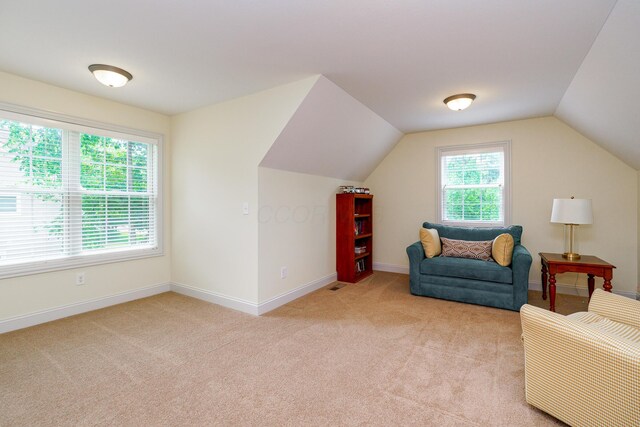 10260 Carmel Dr, Plain City, OH 43064 - photo 53