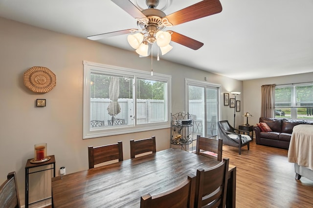 3063 Jersey Dr Unit 67, Columbus, OH 43204 - dining area with healthy amount of natural light, a ceiling fan, and wood finished floors