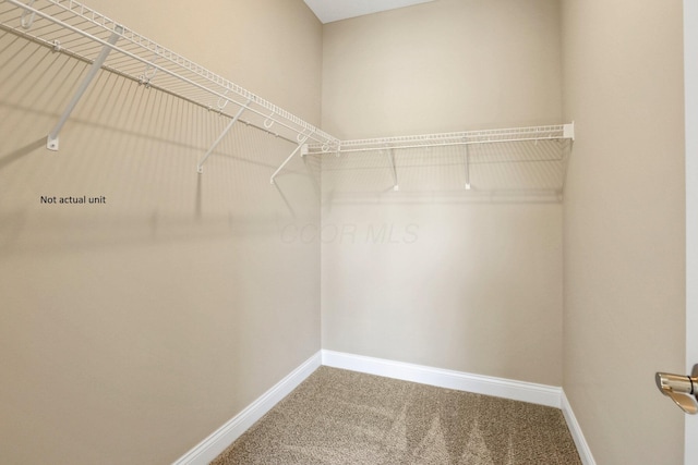 7641 Clifton Loop, Pickerington, OH 43147 - spacious closet with carpet