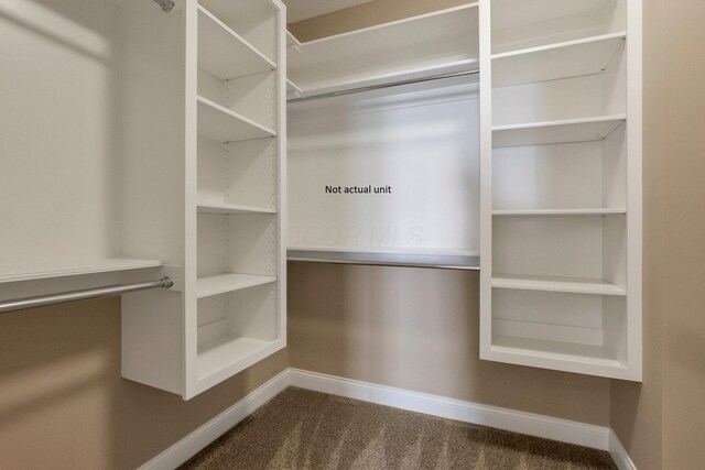 7641 Clifton Loop, Pickerington, OH 43147 - spacious closet with dark carpet