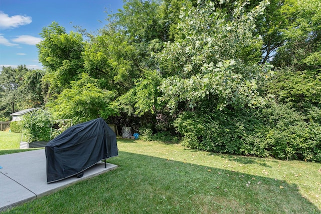 3615 Motts Place Ct, Canal Winchester, OH 43110 - view of green lawn with a patio
