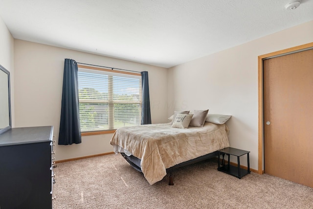 3615 Motts Place Ct, Canal Winchester, OH 43110 - bedroom with carpet floors