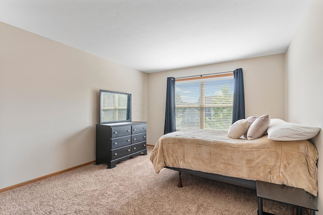 3615 Motts Place Ct, Canal Winchester, OH 43110 - bedroom with light carpet and baseboards