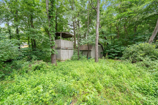 175 Academy Woods Dr, Columbus, OH 43230 - view of yard with a storage shed
