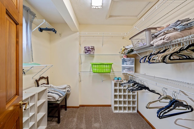 175 Academy Woods Dr, Columbus, OH 43230 - walk in closet featuring carpet floors and attic access