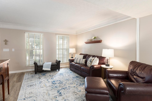 6258 Tetlin Field Dr, New Albany, OH 43054 - living area featuring crown molding and wood finished floors