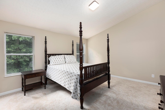 6258 Tetlin Field Dr, New Albany, OH 43054 - carpeted bedroom with baseboards
