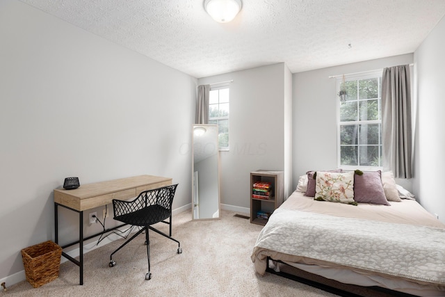 6258 Tetlin Field Dr, New Albany, OH 43054 - bedroom featuring a textured ceiling, multiple windows, and light carpet