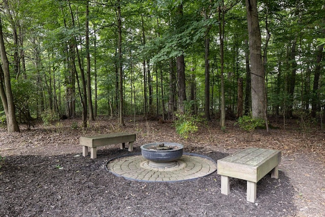 6258 Tetlin Field Dr, New Albany, OH 43054 - view of yard with a forest view