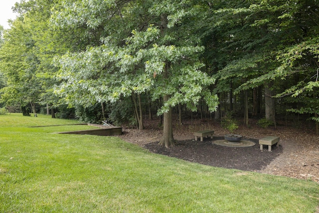 6258 Tetlin Field Dr, New Albany, OH 43054 - view of green lawn